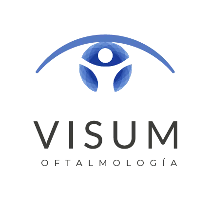 Visum logo